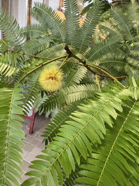 S__12804110.jpg